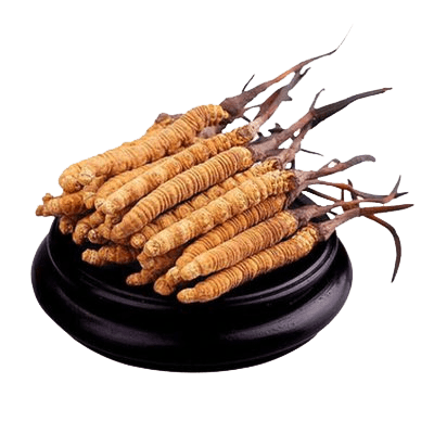 Himalayan Herbal Industry