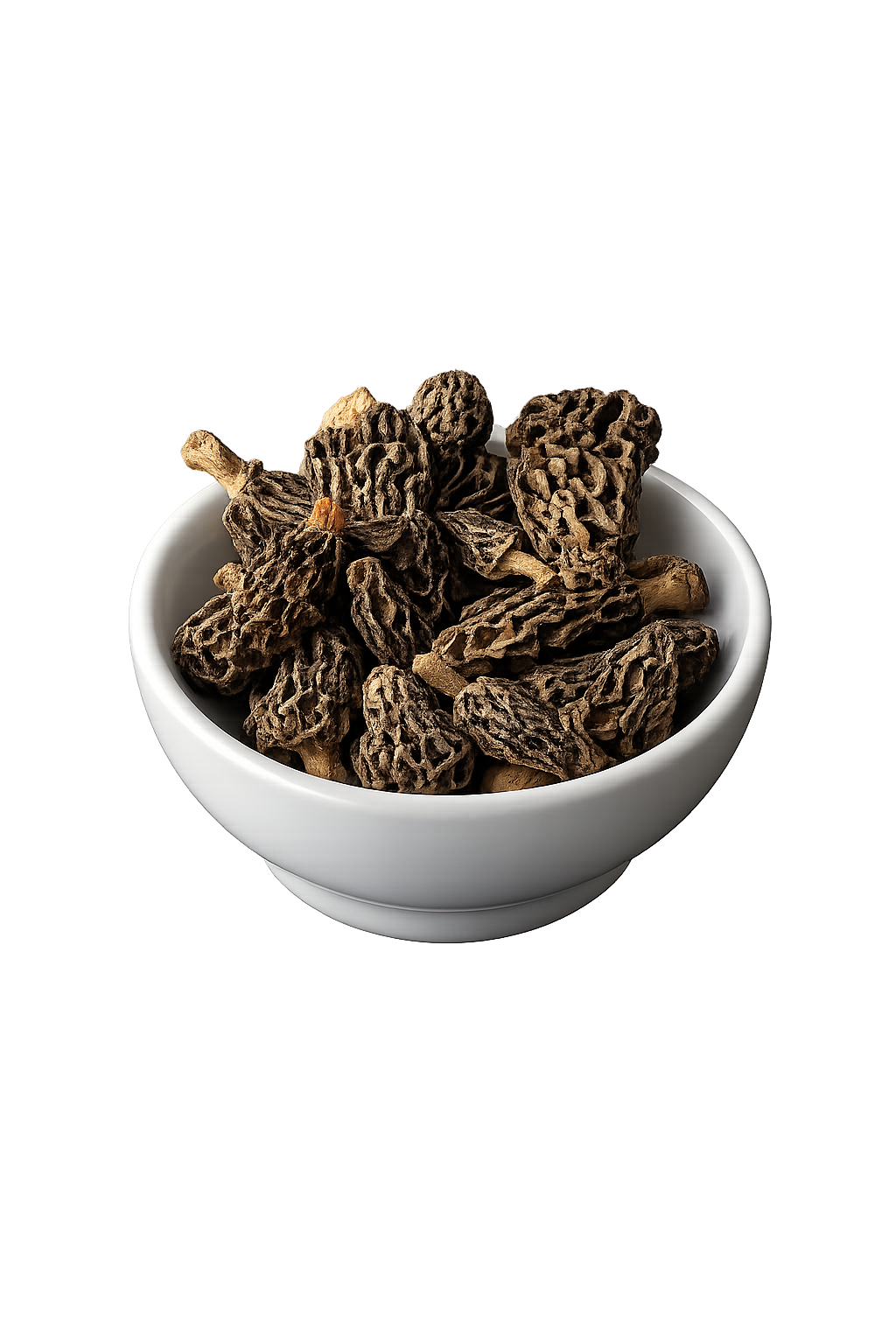 Moral Mushroom